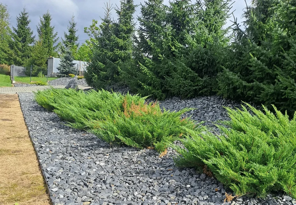 MIRGRÓD: Ogrodnik Brodnica, Osiek, Rypin, Golub Dobrzyń, Lidzbark MIRGRÓD Tworzy Ogrody, które żyją. 15 RealizacjeArtboard 12