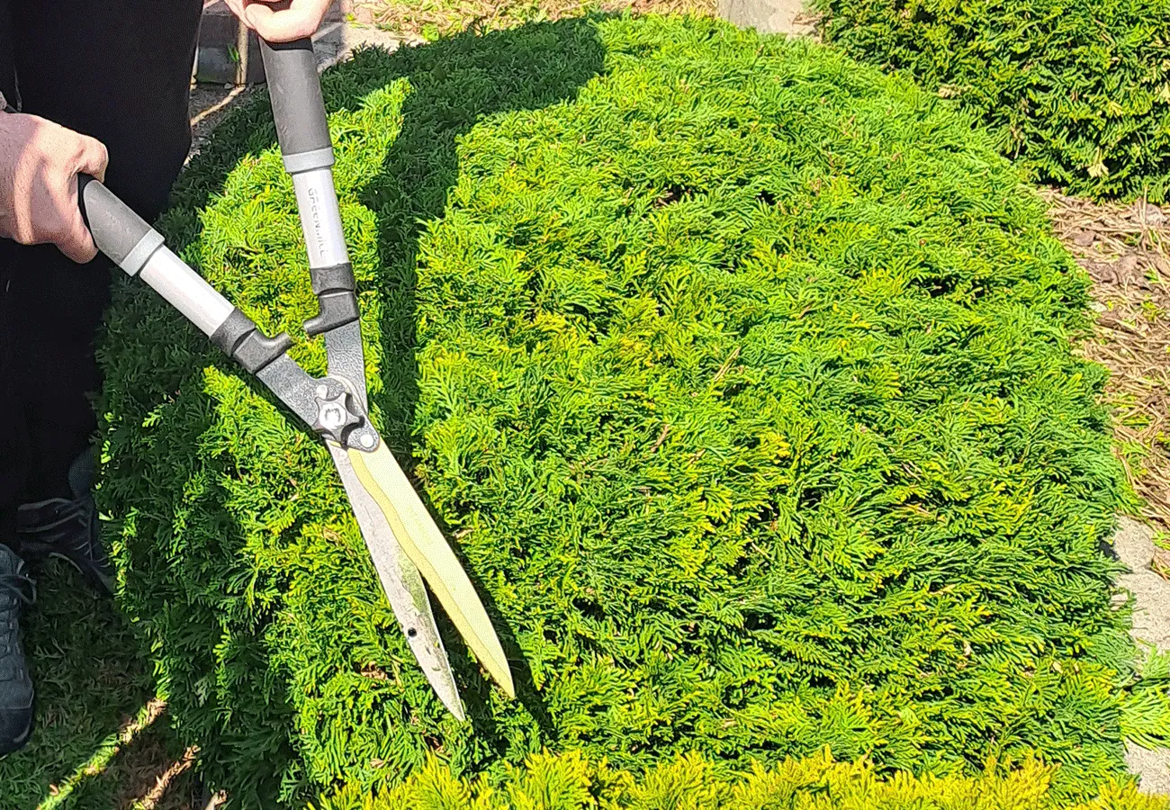 MIRGRÓD: Ogrodnik Brodnica, Osiek, Rypin, Golub Dobrzyń, Lidzbark MIRGRÓD Tworzy Ogrody, które żyją. 38 Pielęgnacja i serwis zieleni ogrodowej, przycinanie