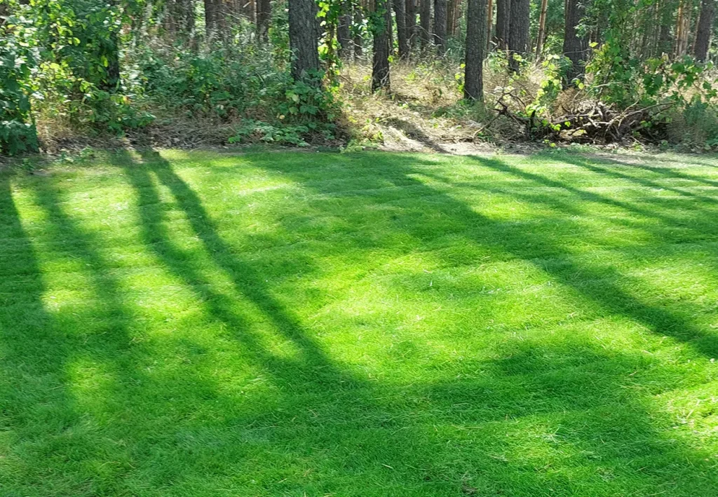 MIRGRÓD: Ogrodnik Brodnica, Osiek, Rypin, Golub Dobrzyń, Lidzbark MIRGRÓD Tworzy Ogrody, które żyją. 28 RealizacjeArtboard 25