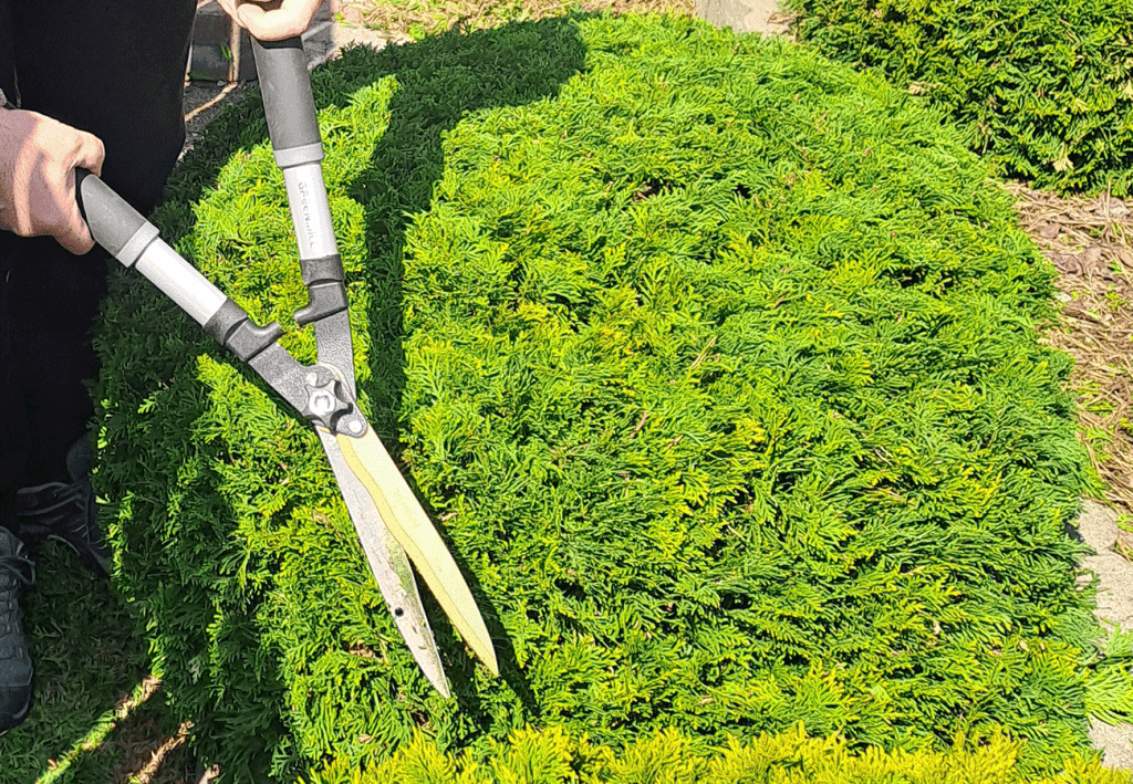 MIRGRÓD: Ogrodnik Brodnica, Osiek, Rypin, Golub Dobrzyń, Lidzbark MIRGRÓD Tworzy Ogrody, które żyją. 32 Realizacje Mirgrod 2